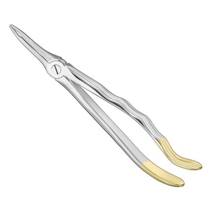 Extracting Forceps, Anat.