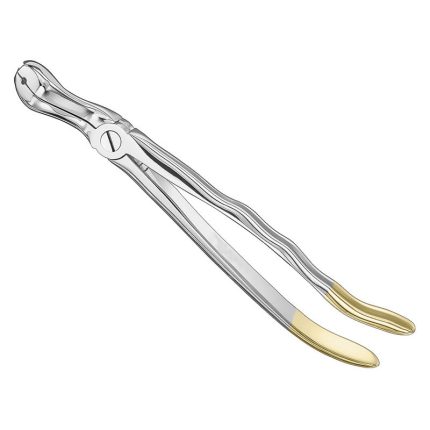 Extracting Forceps, Anat.