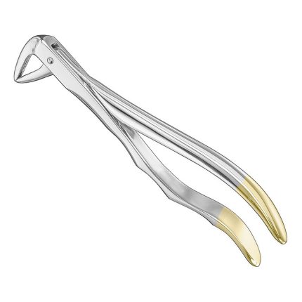 Extracting Forceps, Anat.