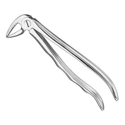 Extracting Forceps, Anat