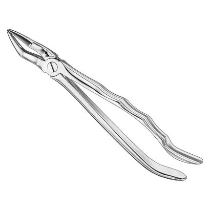 Extracting Forceps, Anat