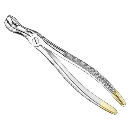 Extracting Forceps, Engl.
